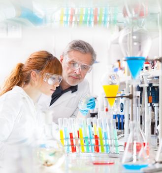 Attractive young female scientist and her senior male supervisor looking at the cell colony grown in the petri dish in the life science research laboratory (bichemistry, genetics, forensics, microbiology..)