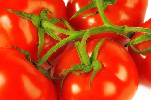 Tomatoes large, on a branch