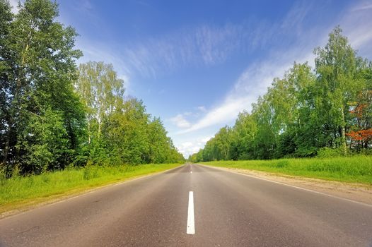 Smooth asphalt road surrounded by forest.