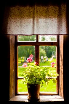 Vase with a flower on the windowsill country house