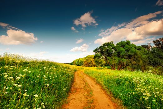 The road into a field.