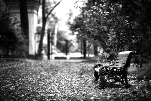 Wooden bench in autumn park