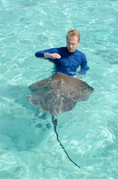 A tourist playing with and feeding a stingray, Himantura fai, in the shallow, clear water of the lagoon of Bora Bora, an island in the Tahiti archipelago French Polynesia.