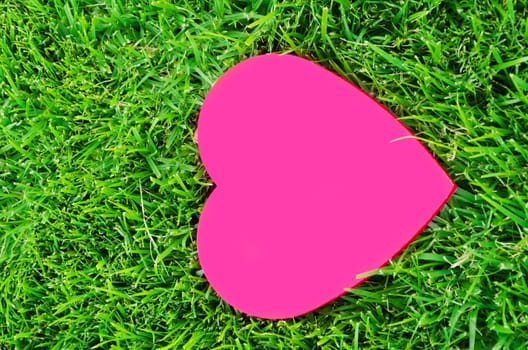 Heart shape on the grass in sunny day