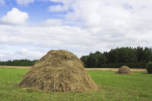 A pair of haystacks  on a green meadow in the July