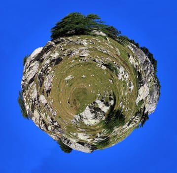 Planet of trees, rocks and green grass by beautiful weather at the Cayolle pass, France