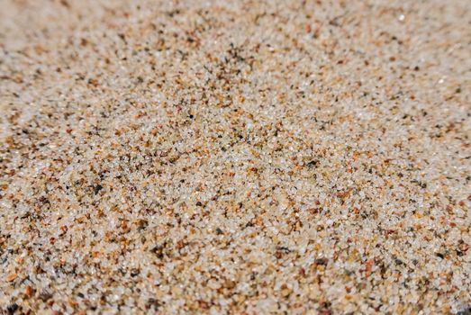 beach sand with amber, close-up, with a small depth of field