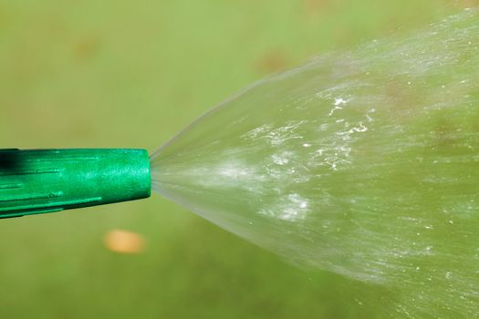 Watering plants and grass by nozzle, closeup