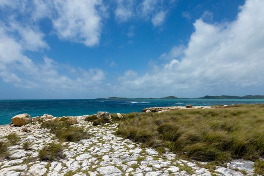 Rocky Limestone Coastline at Devil's Bridge Antigua in Sunshine