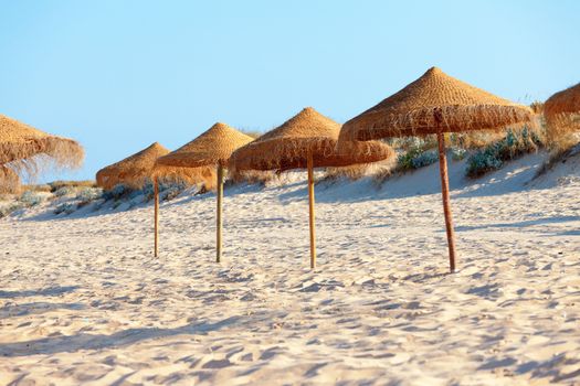 Umbrellas on the beach in the sunny day