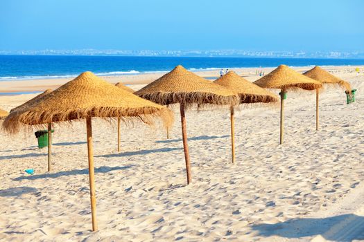 Umbrellas on the beach in the sunny day