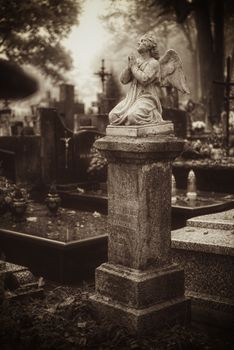 Vintage 19th century graves in a graveyard in autumn