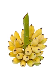 bunch of yellow bananas on Stalk - object on white