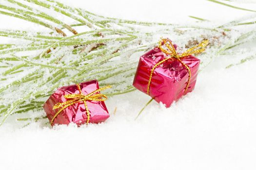 Christmas decoration with fir in the snow