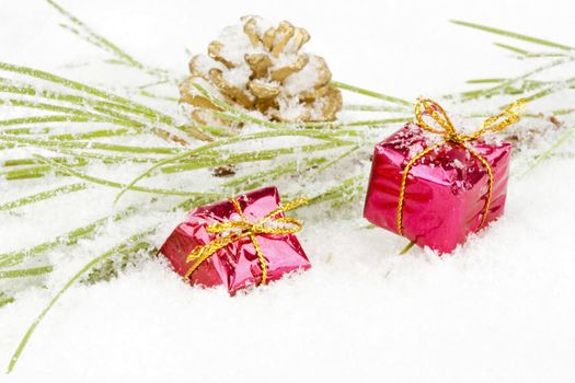 Christmas decoration with fir in the snow