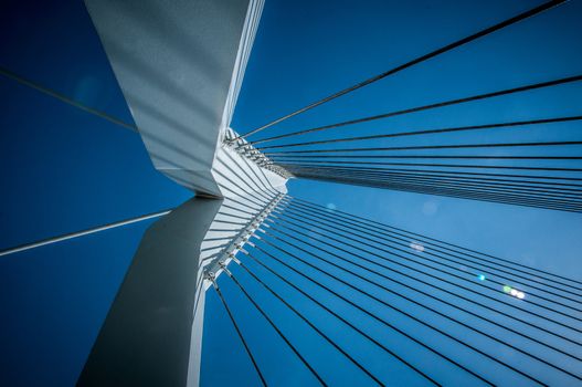 Shroud bridge in Rotterdam with blue sky