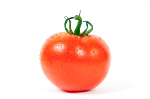 Fresh Red Tomato with water drops isolated on white background 