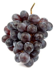 Bunch of Ripe Dark Red Grape with Water Props isolated on white background