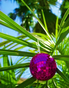 Christmas ball on palm tree - holiday concept