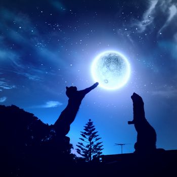 Silhouettes of animals in night sky with full moon