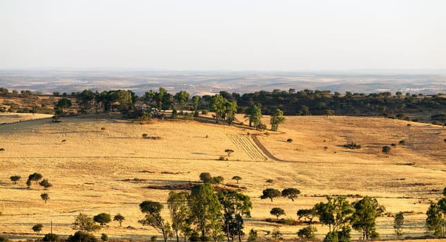 Rural landscape with grassland and trees on sunrise