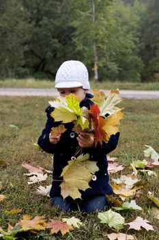 little boy in warm clothesand with yellow leaves in hands in autumn day