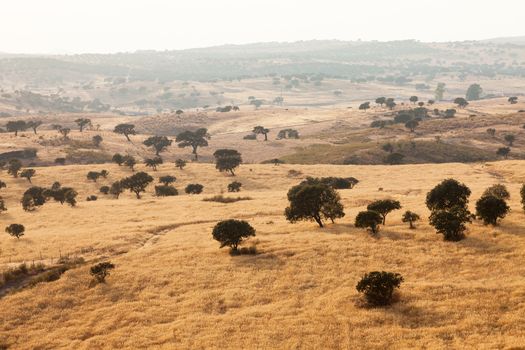 Rural landscape with grassland and a distant mist amongst gently rolling hills