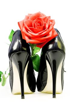 lady shoes and red rose on a white background