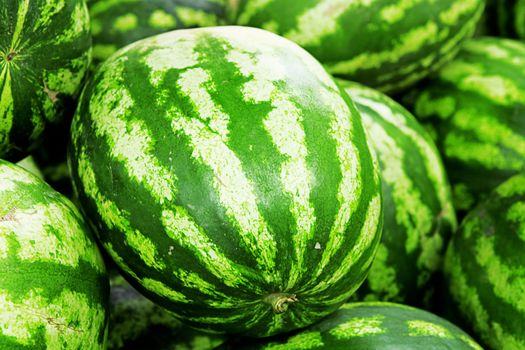 bright green watermelons as summer background