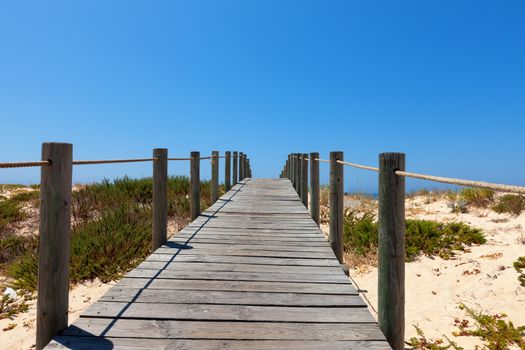 Deserted elevated wooden boardwalk protecting a fragile dune ecosystem and habitat from damage due to pedestrian traffic crossing a golden sand dune