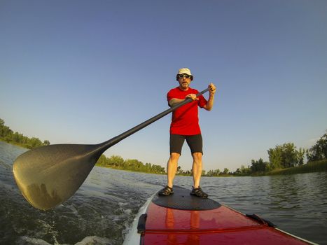 mature male paddler enjoying workout on stand up paddleboard (SUP), calm lake in Colorado, summer, distorted wide angle view