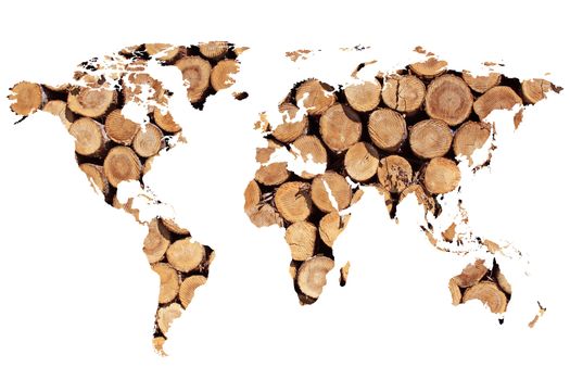 a planisphere or map of the world on firewood for green energy