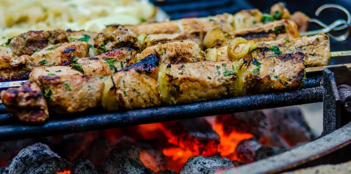 beef kababs on the grill closeup at camping site