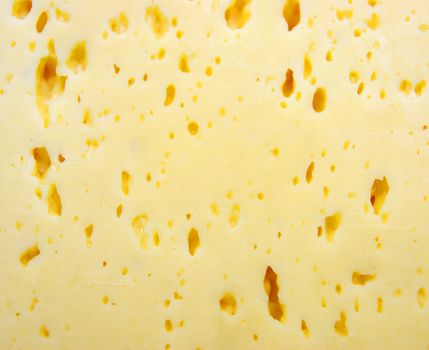 Background from milk product cheese.Background from cheese