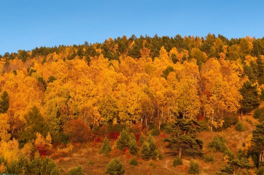 Autumn in Listvyanka - urban-type settlement on Lake Baikal