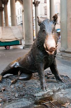 Il Porcellino (Italian "piglet") is the local Florentine nickname for the bronze fountain of a boar in Florence, Tuscany, Italy.