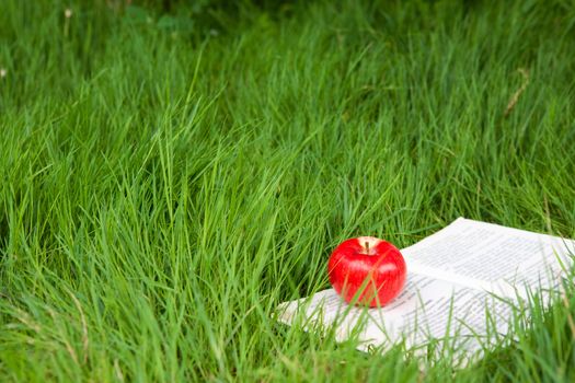 book with apple on the grass