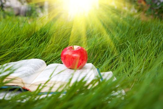 bright sun over the book with apple