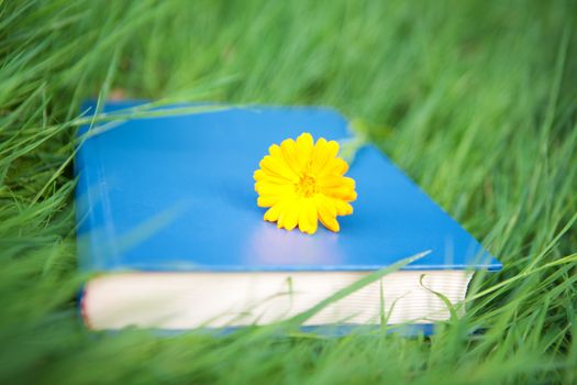 flower on the book on the grass