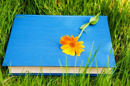 flower on the book on the grass