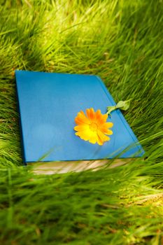 flower on the book on the grass