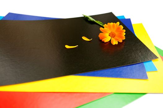 background of flower on the pieces of paper