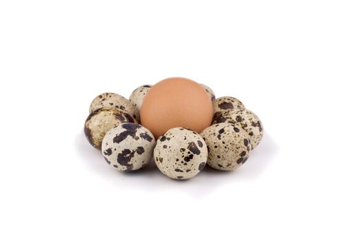 General view of the egg surrounded by quail eggs on a white background