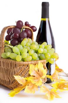 Bottle of wine with grapes in basket isolated on white