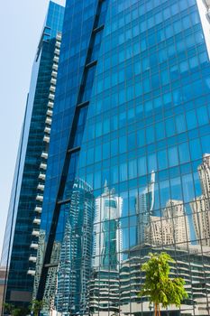 Tree on a background of reflections in the mirrored glass of a large building