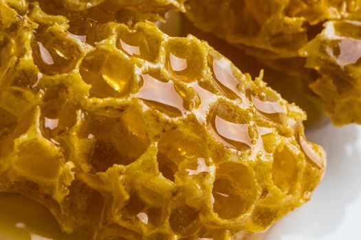 still life with pieces of a honeycomb with honey