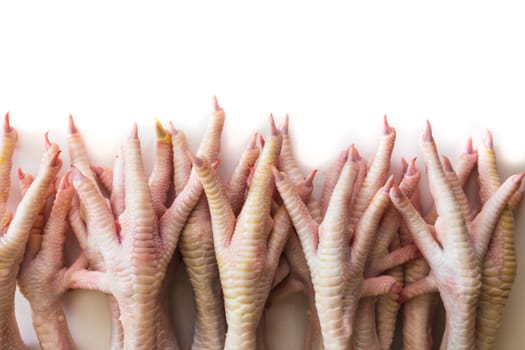 semifinished raw chicken legs on white background