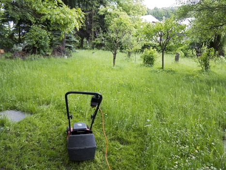 Mower and garden overgrown with weeds