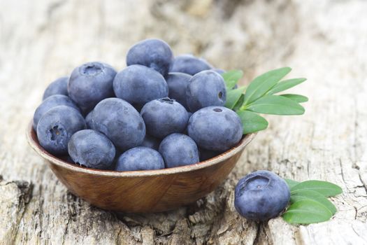 fresh blueberries in a bowl