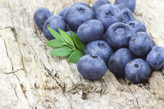 fresh blueberries